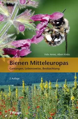 Bienen Mitteleuropas, Gattungen, Lebensweise, Beobachtung, F. Amiet, A. Krebs, Haupt Verlag